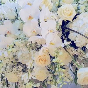 Meet your Posher, Diana